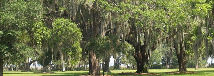 St. Simons Island With live oaks dripping with Spanish moss, Fort Frederica on St. Simons Island offers a great glimpse into colonial history -- as well as outstanding beaches and fun. Credit:  AndyBrack, copyright 2012.  All rights reserved.