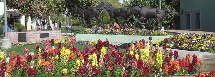 Scottsdale Scottsdale, a city of more than 217,000 adjacent to Phoenix, bills itself as a sophisticated city on the move that's at the heart of the Sonoran Desert.  