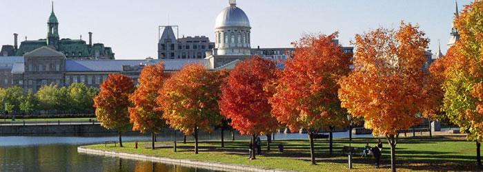 Montreal Foliage in the Parc du bassin Bonsecours and the dome of the Marche Bonsecours in Montreal. Credit:  AnnaKucsma, [CC-BY-SA-2.5], via Wikimedia Commons