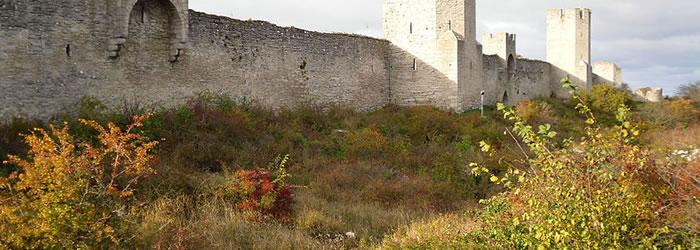 Visby The east side of the city wall in Visby, a popular vacation spot in Sweden. Credit: By Artifex (Own work) [Public domain], via Wikimedia Commons
